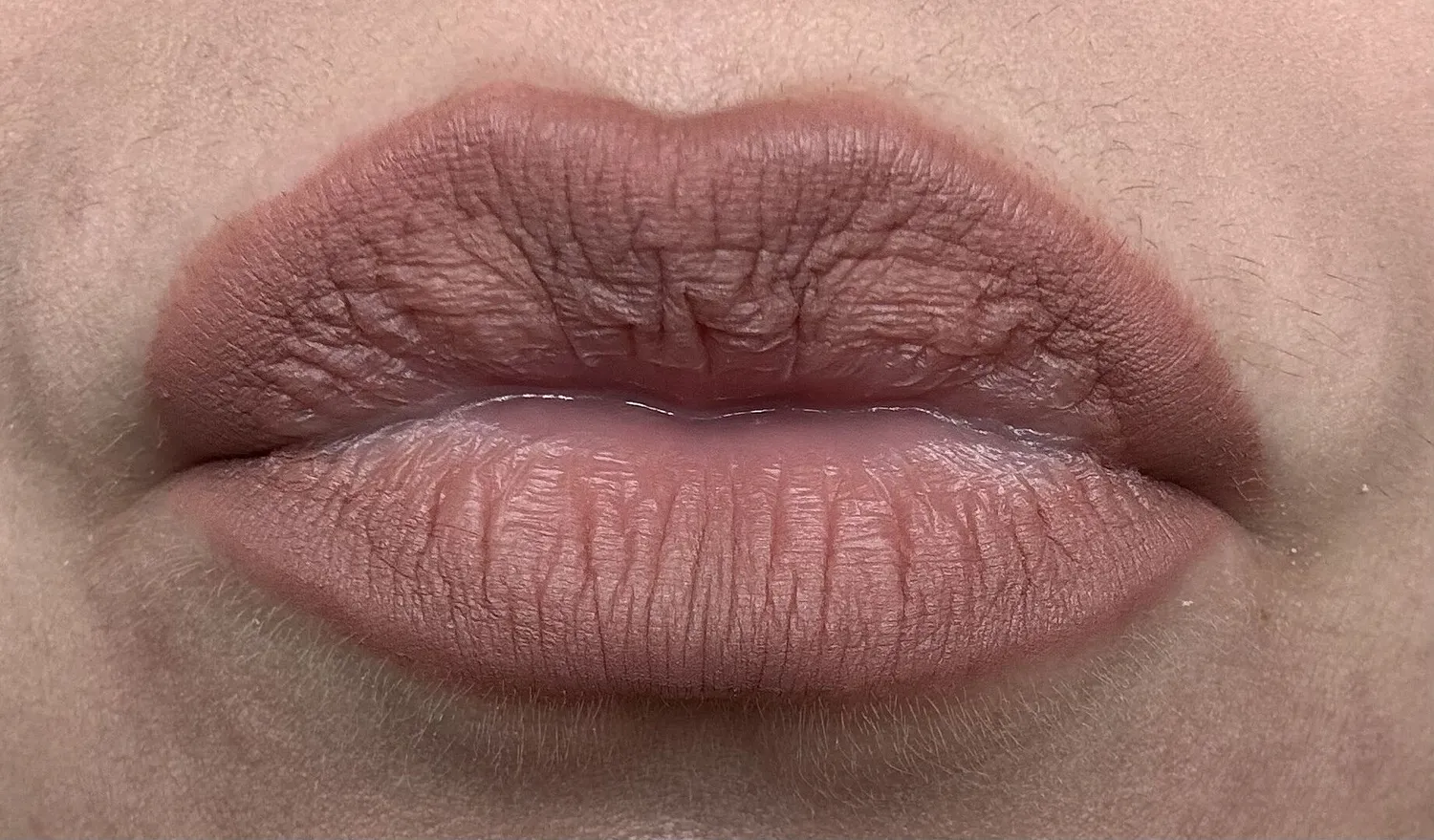 Natasha Denona My Dream crayon lèvres Natasha nude