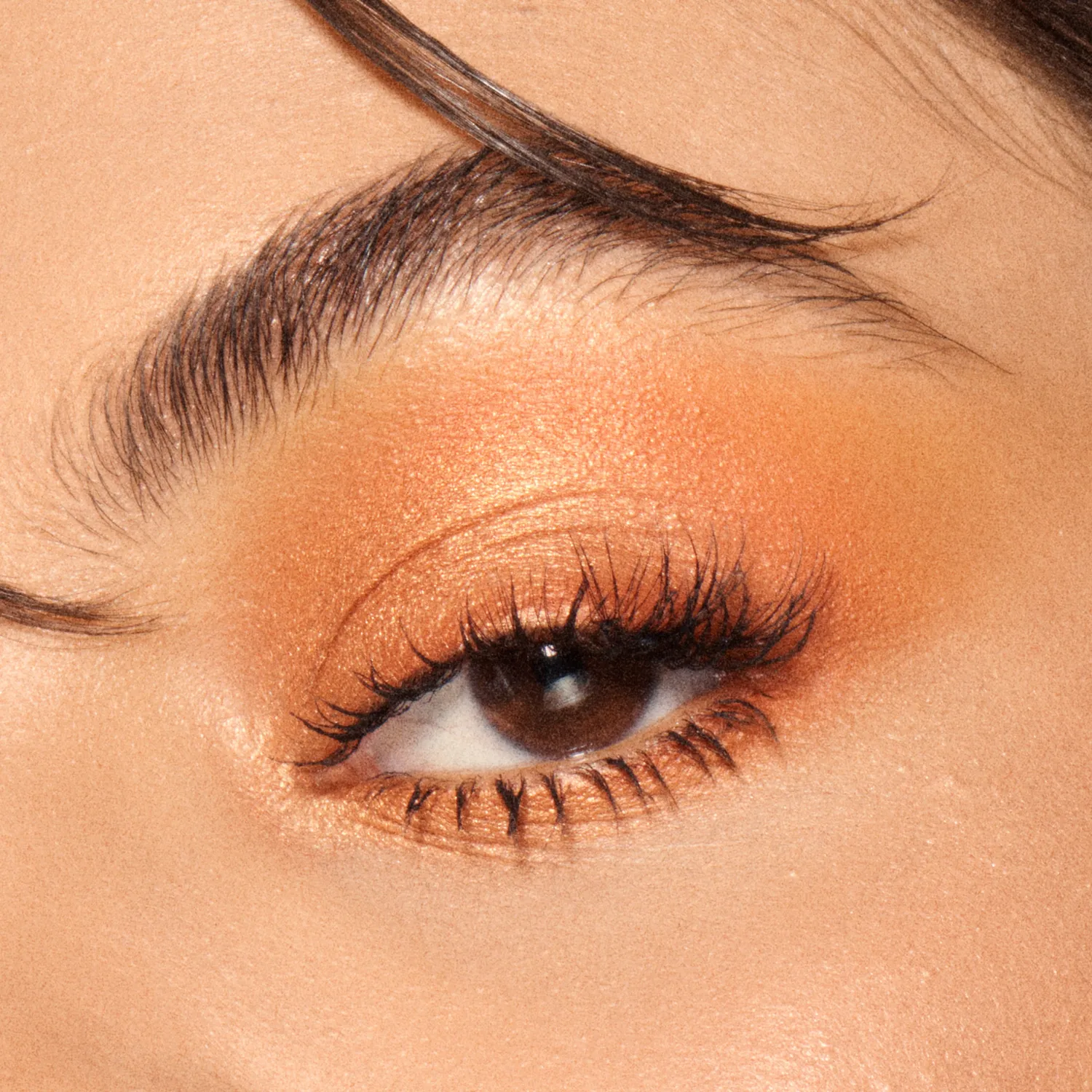 Vieve Soul Shadows Burn palette fards à paupières mat et irisé