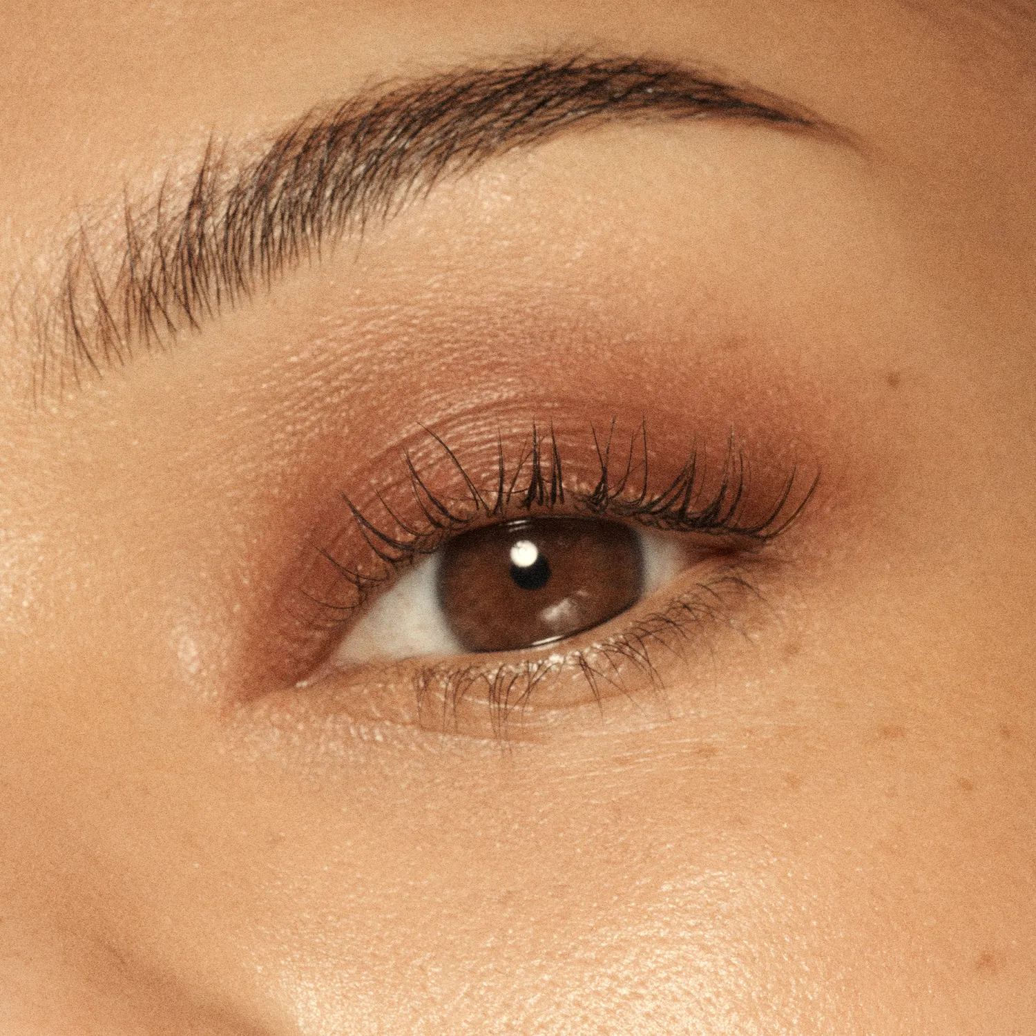 Vieve Eye Wand fard paupières stick Mahogany crémeux