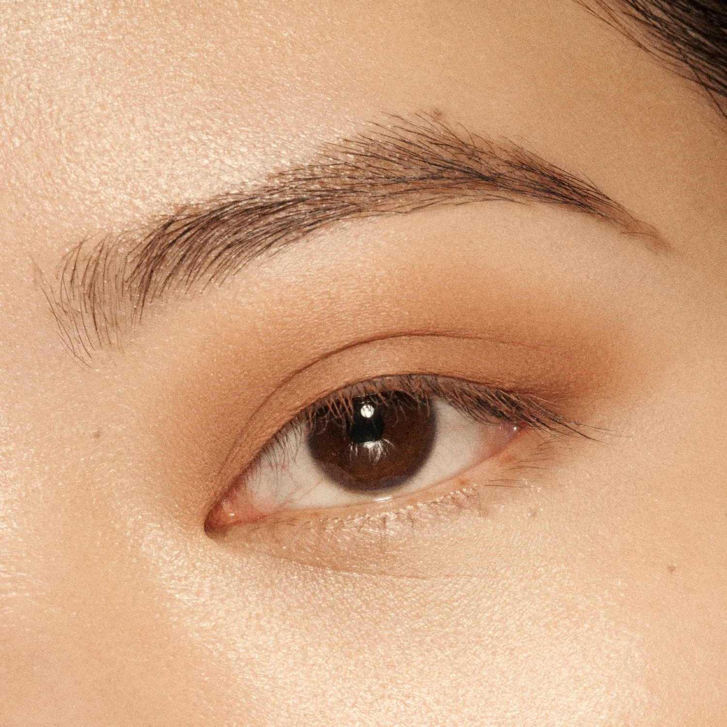 Vieve Eye Wand fard stick paupières teinte Camel nude