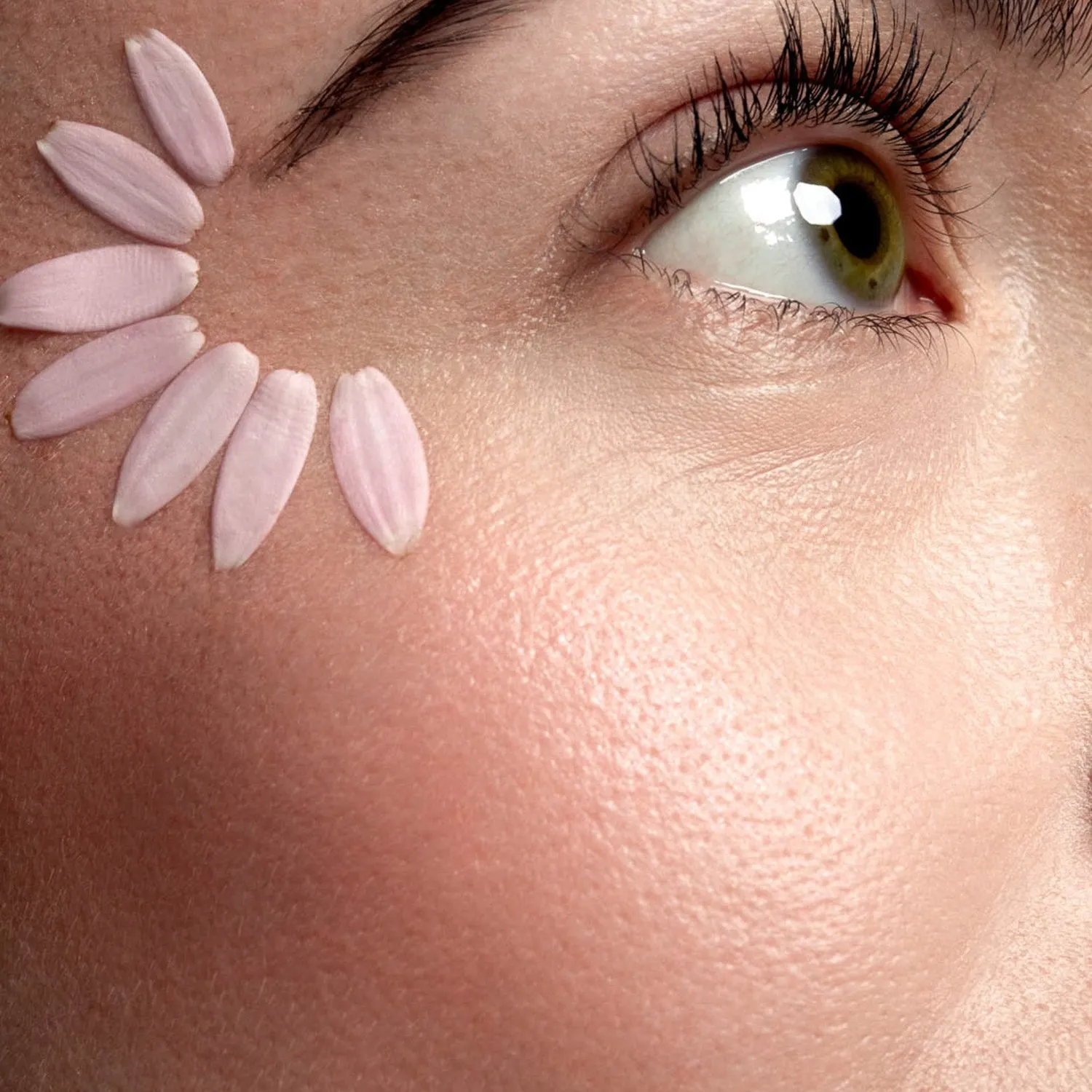 MI-RÊ Dual Blush-Lit blush highlighter poudre éclat