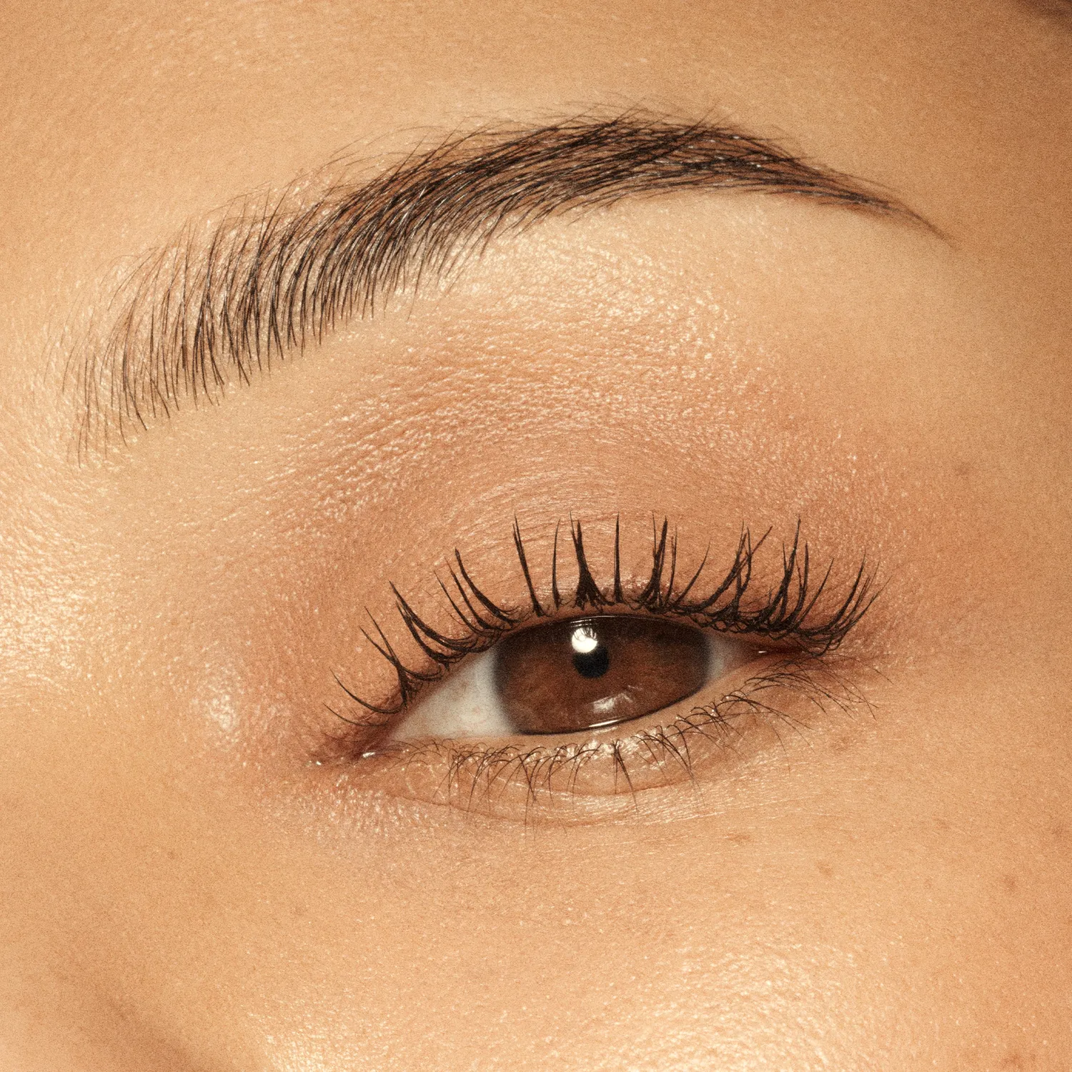Vieve Eye Wand fard stick paupières teinte Camel nude