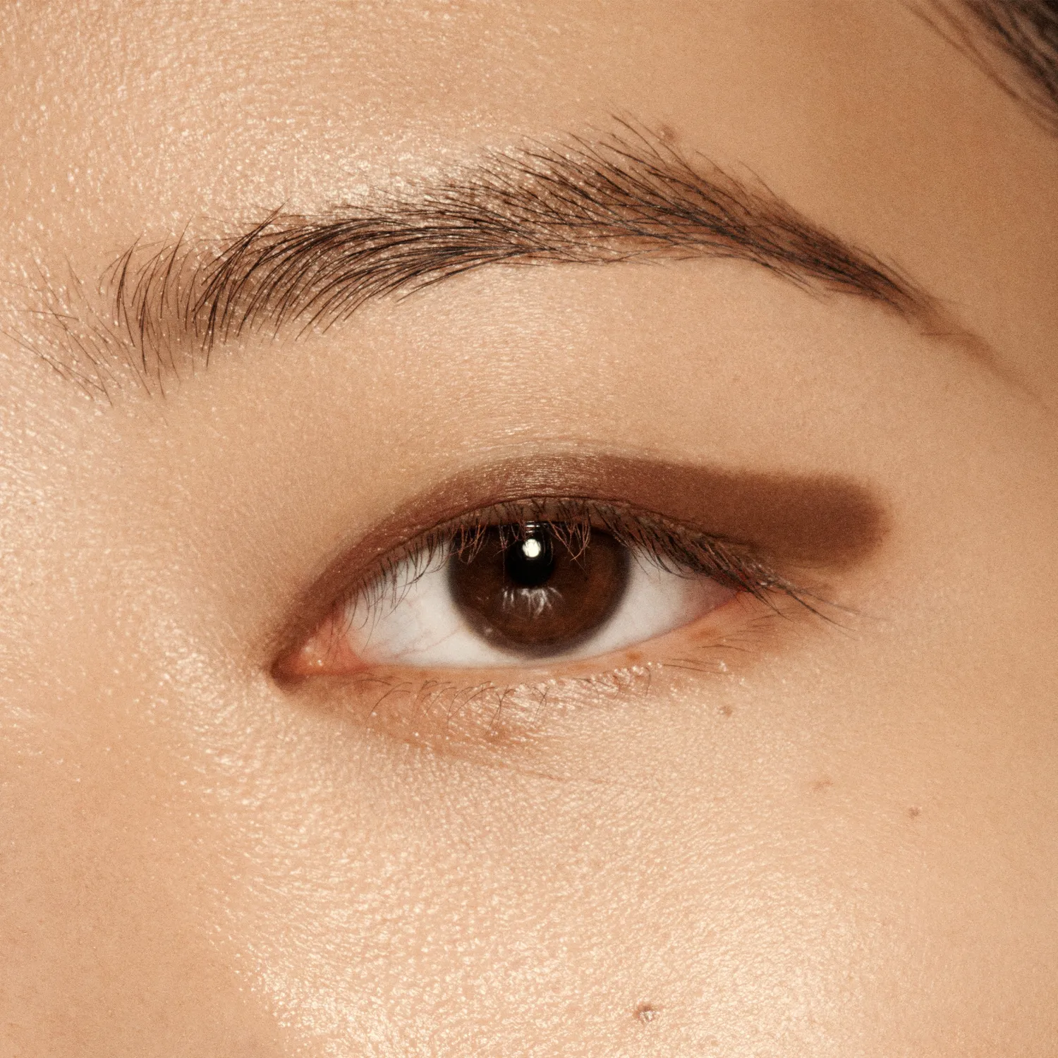 Vieve Eye Wand ombre paupières stick teinte Coffee