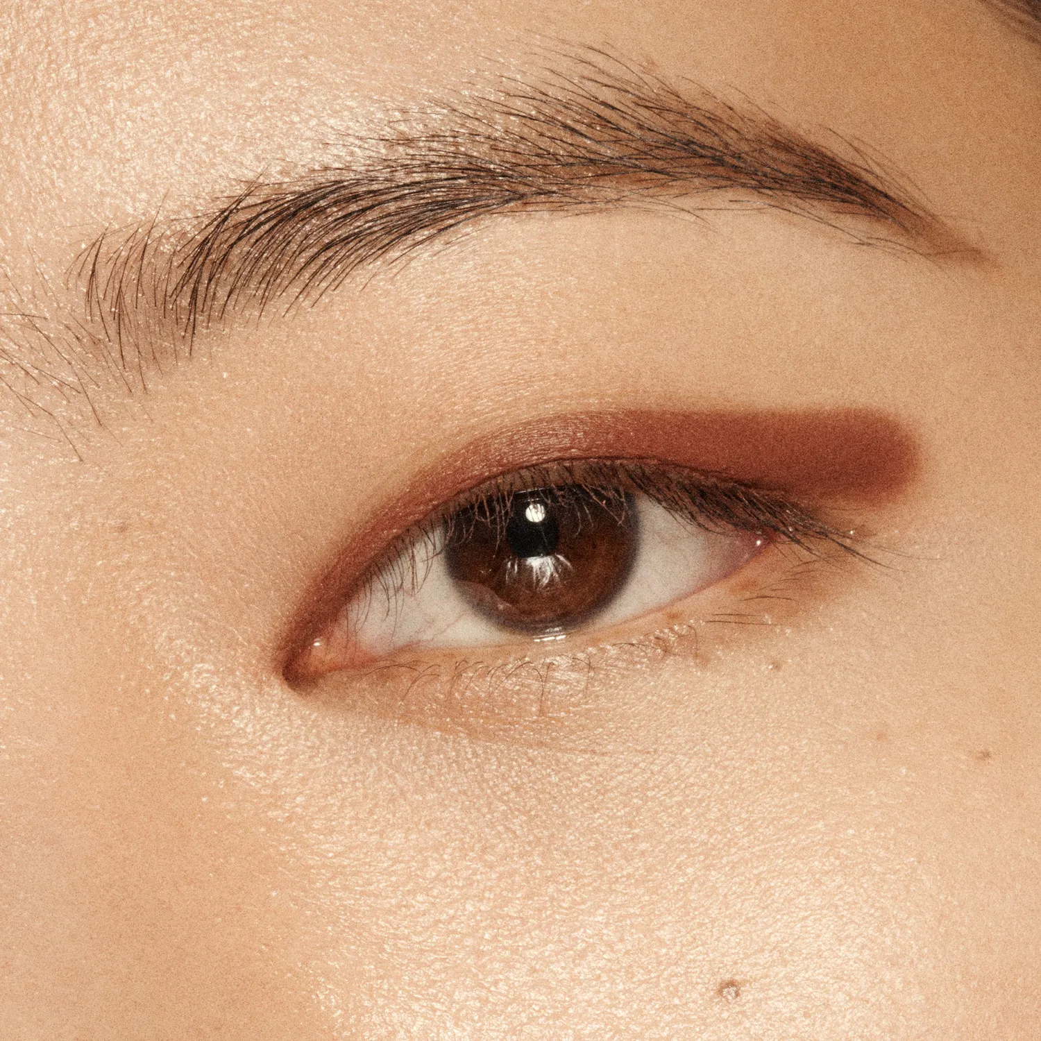 Vieve Eye Wand fard paupières stick Mahogany crémeux