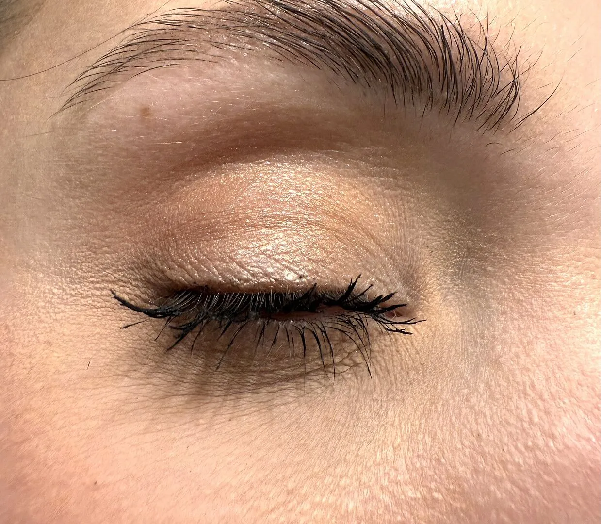 Natasha Denona Biba palette fards à paupières 15 neutres