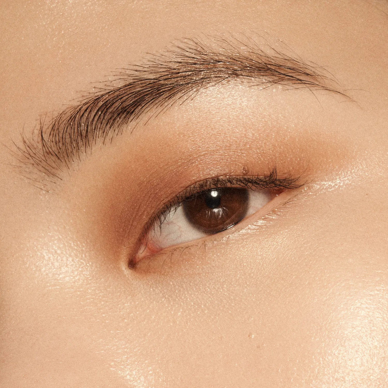 Vieve Eye Wand fard paupières stick teinte Hazelnut