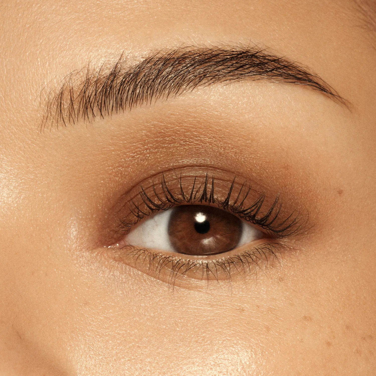 Vieve Eye Wand ombre paupières stick teinte Coffee