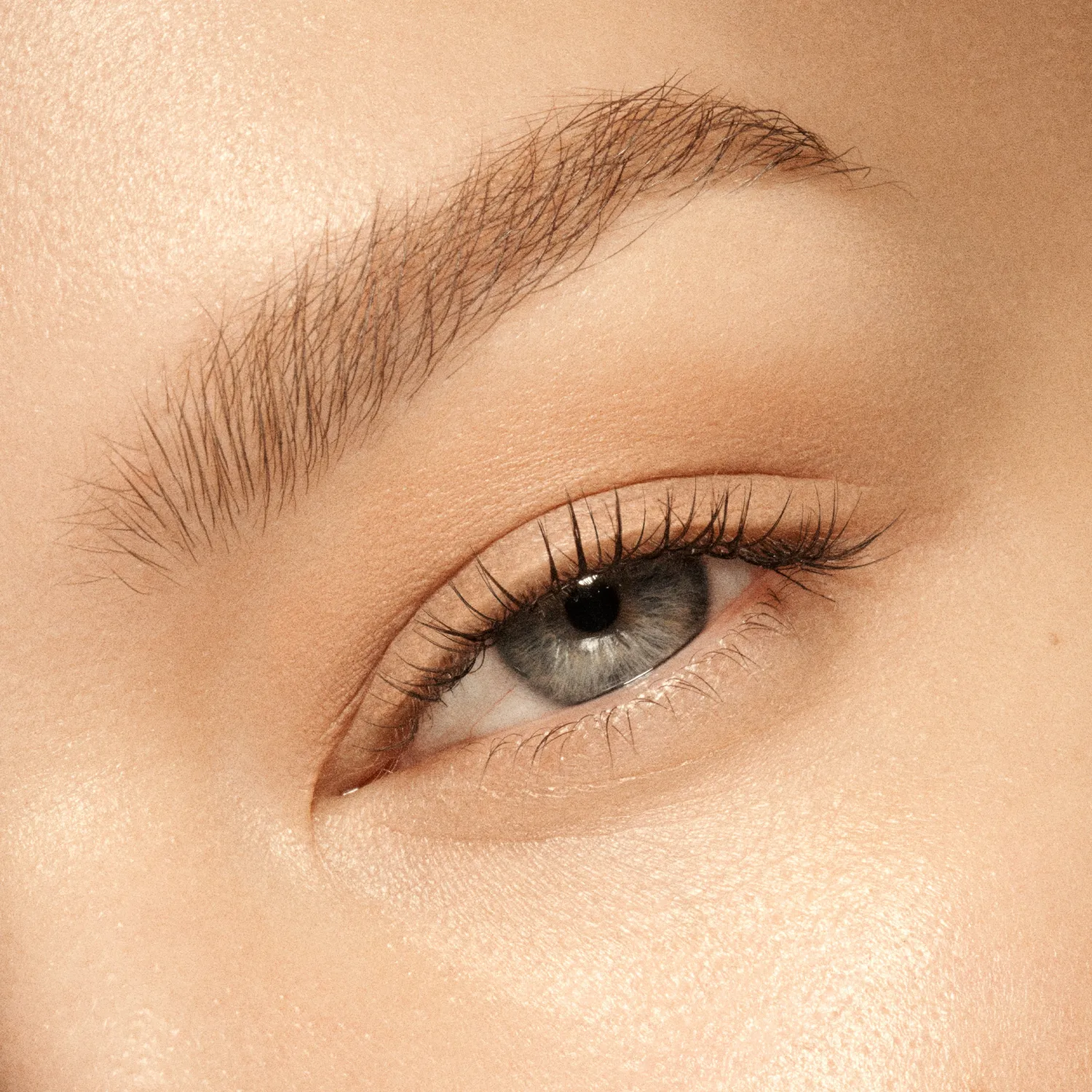 Vieve Eye Wand fard paupières stick Sand nude