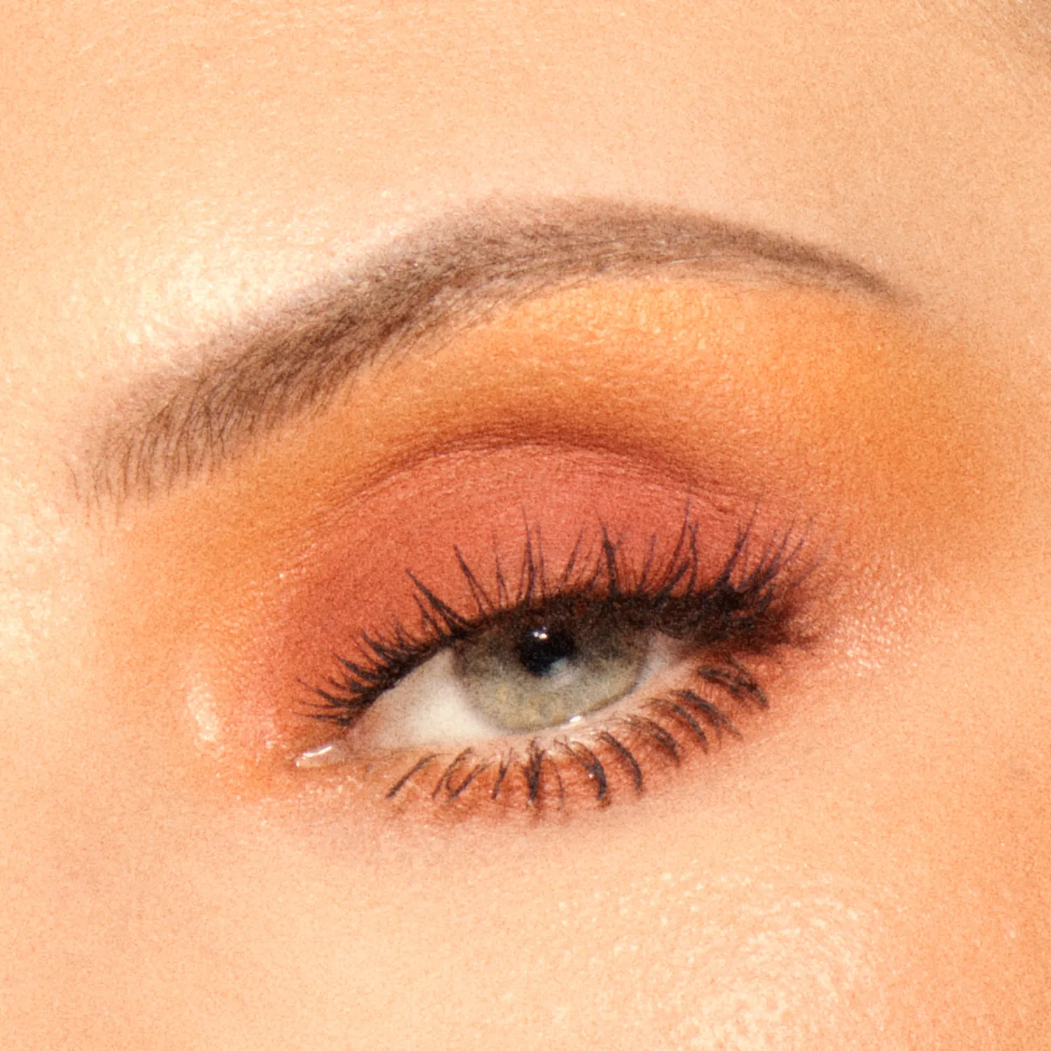 Vieve Soul Shadows Burn palette fards à paupières mat et irisé