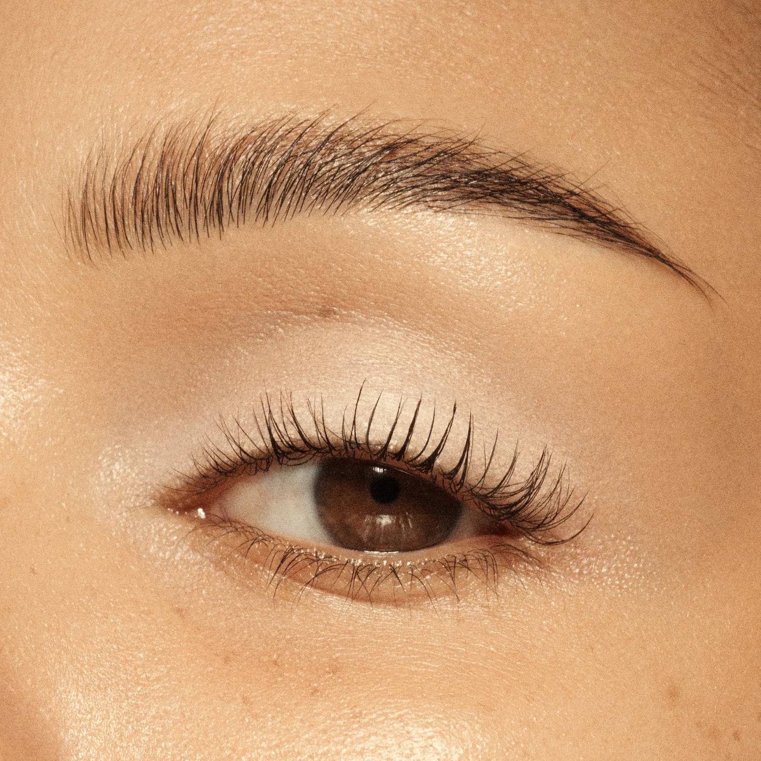 Vieve Eye Wand fard paupières stick teinte Vanilla