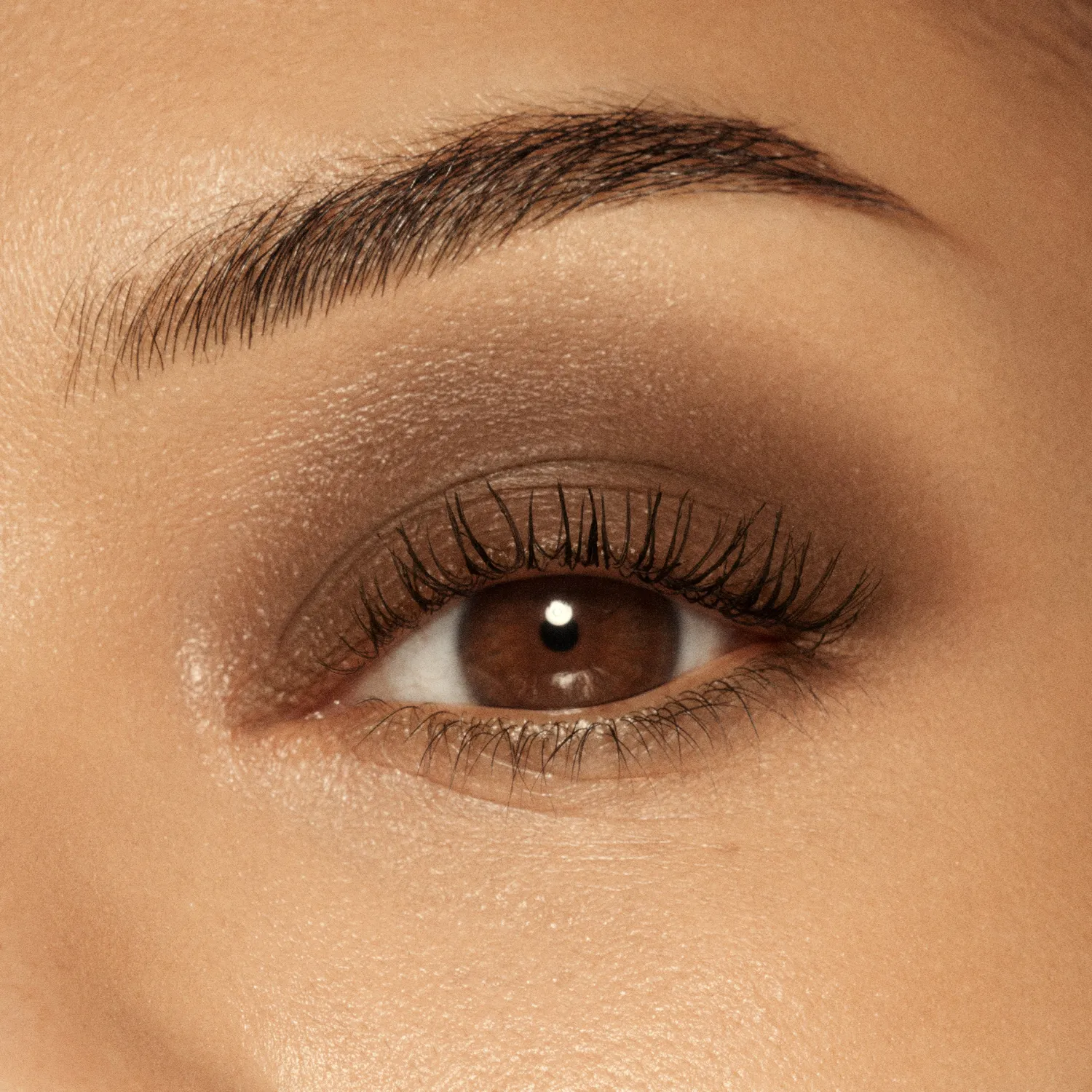 Vieve Eye Wand fard paupières stick Espresso mat