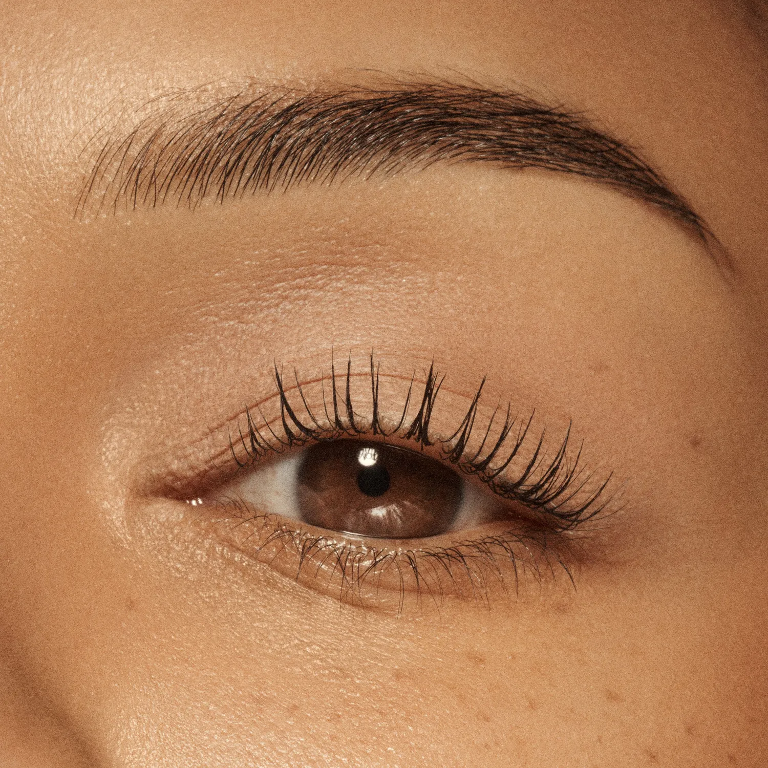 Vieve Eye Wand fard paupières stick Sand nude