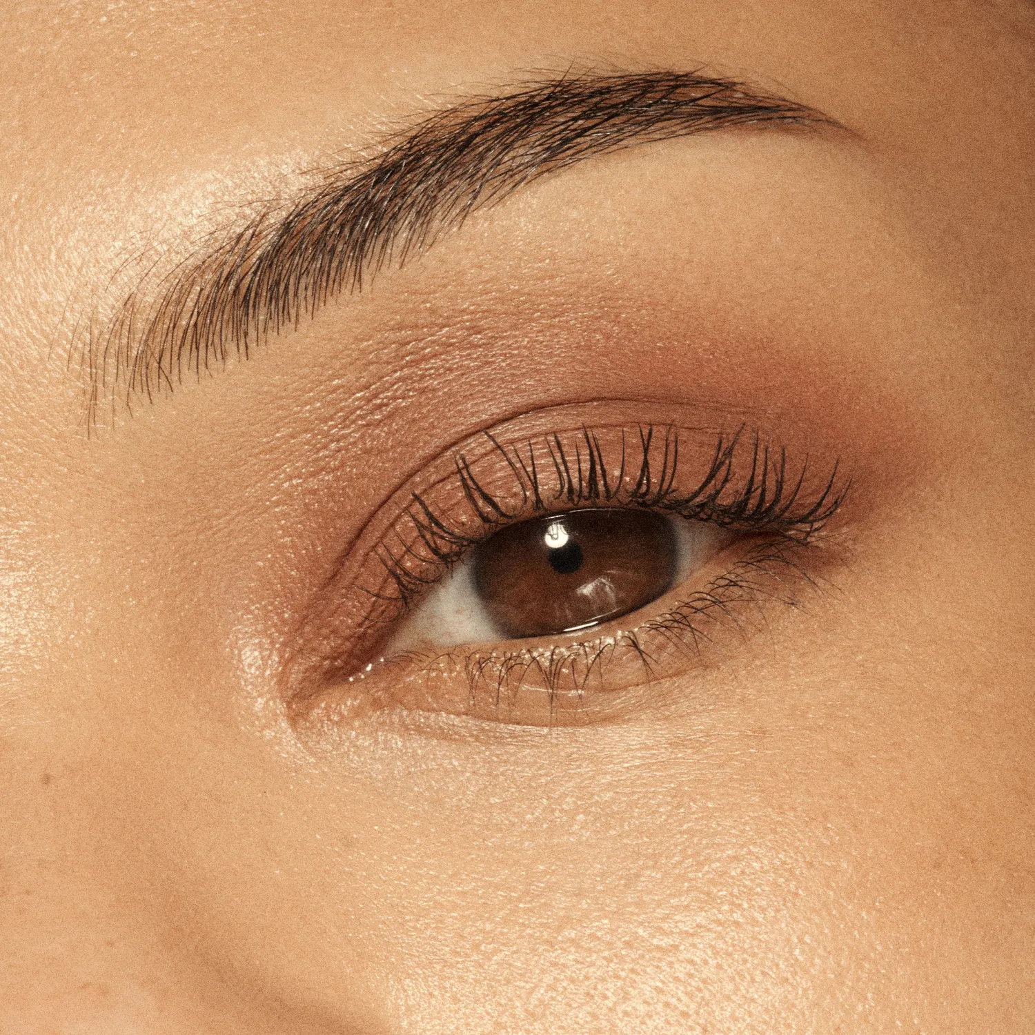 Vieve Eye Wand fard paupières stick teinte Hazelnut