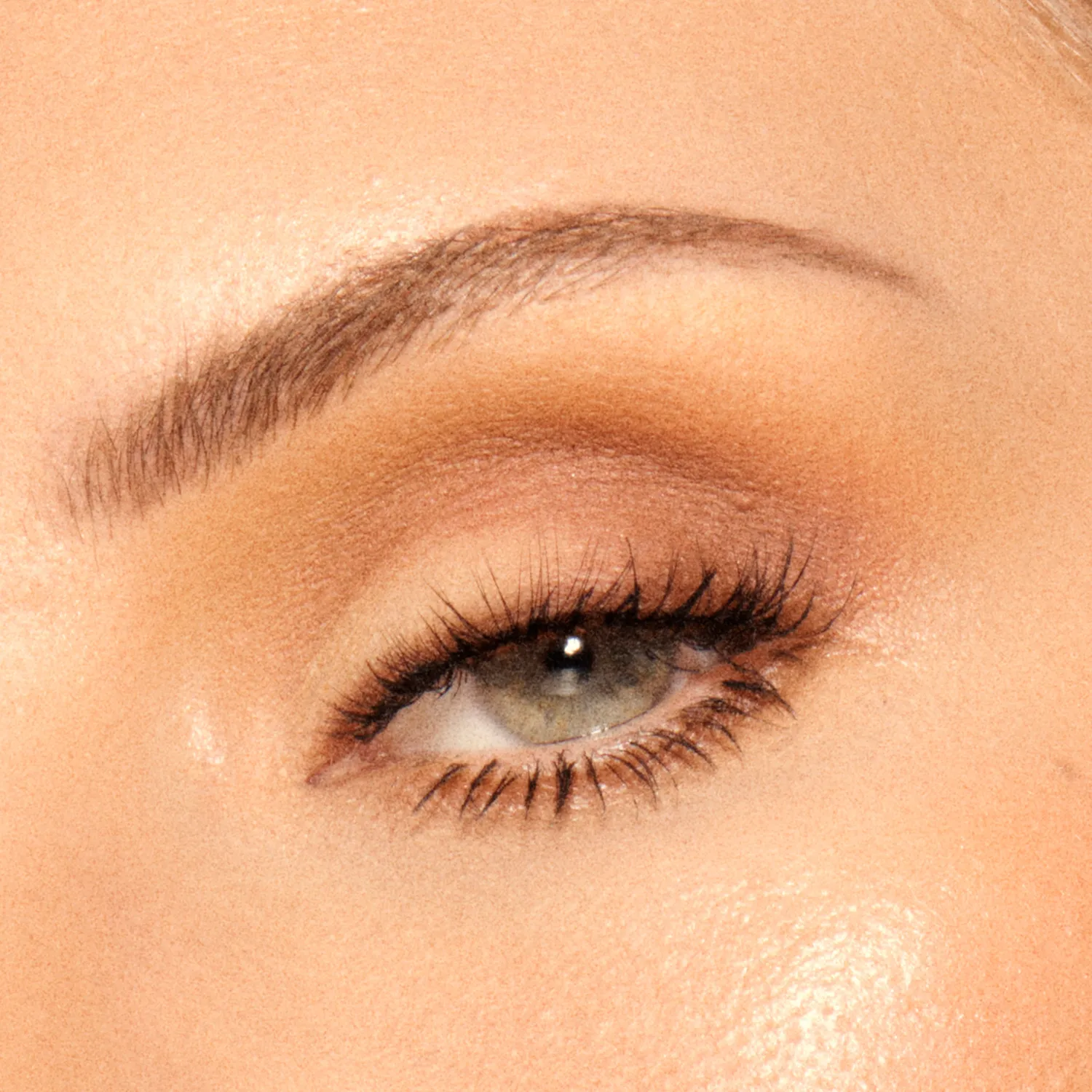 Vieve Soul Shadows Terra palette fards à paupières terracotta