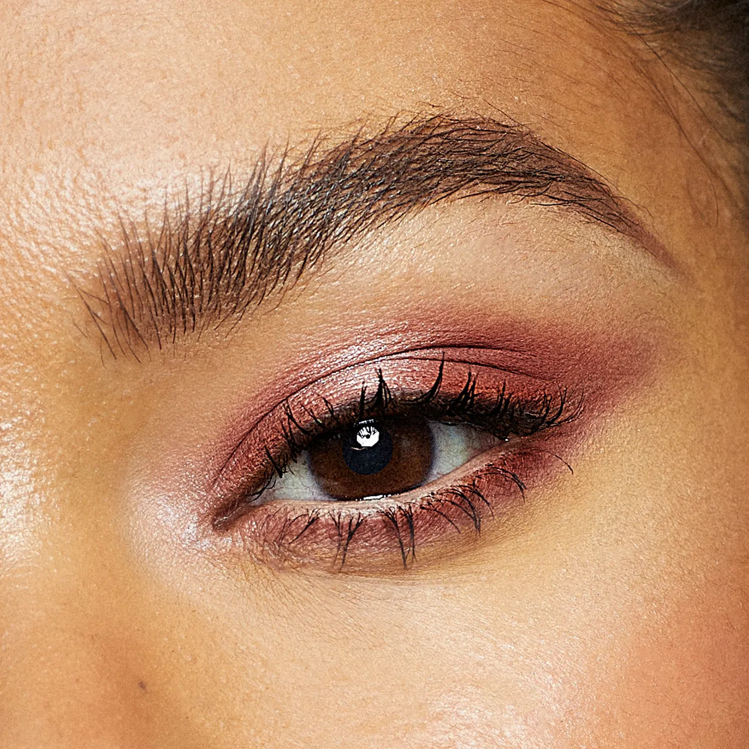 Vieve Muse palette fards 10 teintes romantiques