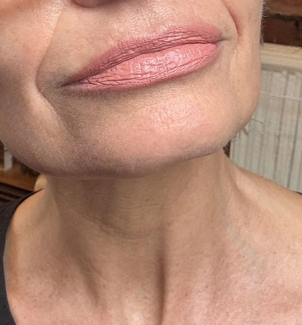 Vieve Modern Lip Definer contour lèvres Stupid Cupid mat