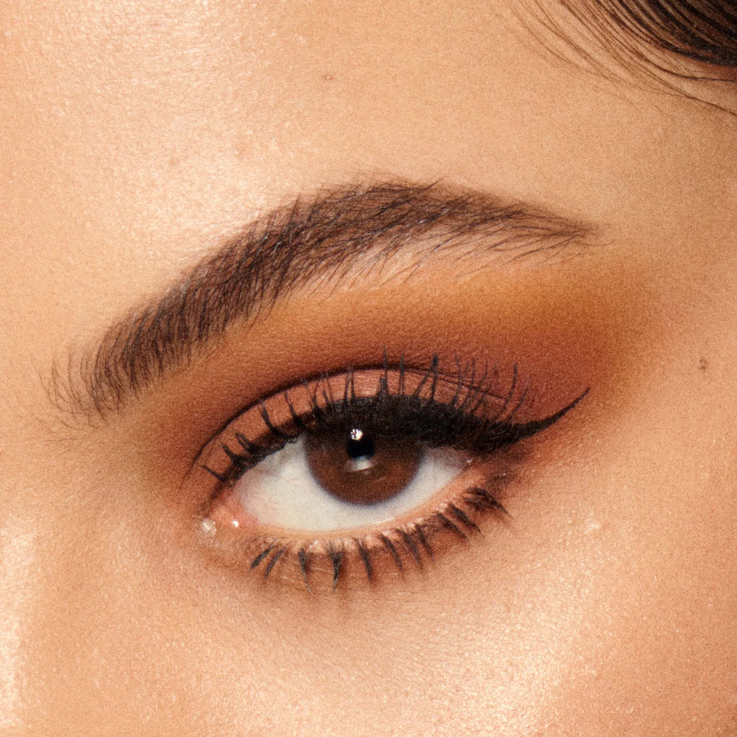 Vieve Soul Shadows Terra palette fards à paupières terracotta